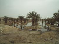 Bahrain &ndash; &copy; Juliane Voigt (Eberhardt TRAVEL)
