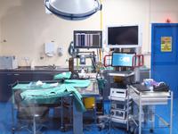 Abu Dhabi - Falkenklinik &ndash; &copy; Juliane Voigt (Eberhardt TRAVEL)