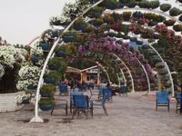 Dubai - Miracle Gardens &ndash; &copy; Juliane Voigt (Eberhardt TRAVEL)