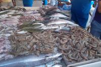 Fischmarkt &ndash; &copy; Michael Krause (Eberhardt TRAVEL)