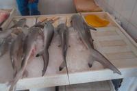 Fischmarkt &ndash; &copy; Michael Krause (Eberhardt TRAVEL)