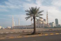 neue Moschee, Fujairah &ndash; &copy; Michael Krause (Eberhardt TRAVEL)
