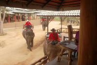 Elefantenritt &ndash; &copy; Michael Krause (Eberhardt TRAVEL)