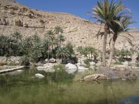 Im Wadi Bani Khalid &ndash; &copy; Madlen Lippe (Eberhardt TRAVEL)