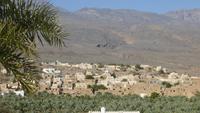 Oasendorf Al Hamra &ndash; &copy; Frank Nimschowski (Eberhardt TRAVEL)