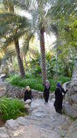 Wanderung durch die Gärten von Misfat Al Abreen &ndash; &copy; Frank Nimschowski (Eberhardt TRAVEL)