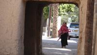 In der Oase Birkat Al Mauz