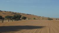 Wahiba Sands