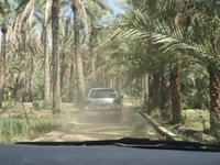Al Hamra &ndash; &copy; Carina Henn (Eberhardt TRAVEL)