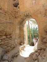 Misfat  &ndash; &copy; Carina Henn (Eberhardt TRAVEL)