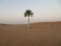 Wahiba Sands &ndash; &copy; Carina Henn (Eberhardt TRAVEL)