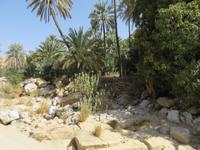 Wadi Bani Khalid &ndash; &copy; Carina Henn (Eberhardt TRAVEL)