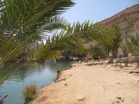 Wadi Bani Khalid &ndash; &copy; Carina Henn (Eberhardt TRAVEL)