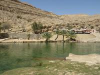 Wadi Bani Khalid &ndash; &copy; Carina Henn (Eberhardt TRAVEL)