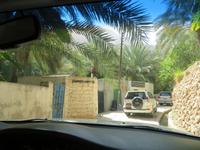 Wadi Tiwi &ndash; &copy; Carina Henn (Eberhardt TRAVEL)