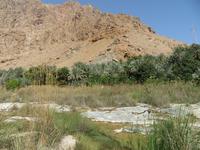 Wadi Tiwi &ndash; &copy; Carina Henn (Eberhardt TRAVEL)