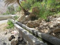 Wadi Tiwi &ndash; &copy; Carina Henn (Eberhardt TRAVEL)