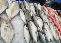 0416_Sharjah; Souk Al Jubail &ndash; &copy; Jörg Nesse (Eberhardt TRAVEL)
