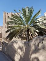0621_Oman; Birkat al Mauz &ndash; &copy; Jörg Nesse (Eberhardt TRAVEL)