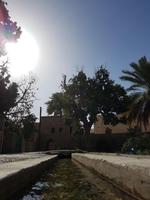 0623_Oman; Birkat al Mauz &ndash; &copy; Jörg Nesse (Eberhardt TRAVEL)