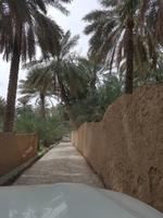 0731_Al Hamra &ndash; &copy; Jörg Nesse (Eberhardt TRAVEL)