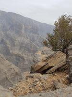 0736_Wadi Ghul &ndash; &copy; Jörg Nesse (Eberhardt TRAVEL)