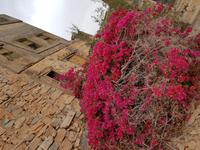 0742_Misfat Al Abreen &ndash; &copy; Jörg Nesse (Eberhardt TRAVEL)