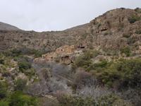 0806_Wadi Habib &ndash; &copy; Jörg Nesse (Eberhardt TRAVEL)
