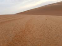 0828_Dune Bashing &ndash; &copy; Jörg Nesse (Eberhardt TRAVEL)