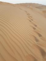 0830_Dune Bashing &ndash; &copy; Jörg Nesse (Eberhardt TRAVEL)