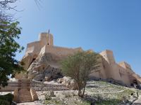 1113_Nakhl &ndash; &copy; Jörg Nesse (Eberhardt TRAVEL)