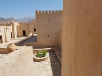 1120_Nakhl. &ndash; &copy; Jörg Nesse (Eberhardt TRAVEL)