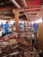 Fischmarkt (3) &ndash; &copy; Susann Schmiedel (Eberhardt TRAVEL)