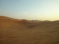 Wüstensafari (2) &ndash; &copy; Susann Schmiedel (Eberhardt TRAVEL)