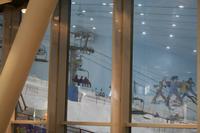 0020 Ski Dubai in der Mall of the Emirates &ndash; &copy; Patrick Fritzsche (Eberhardt TRAVEL)