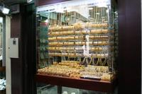 0058 auf dem Goldsouk &ndash; &copy; Patrick Fritzsche (Eberhardt TRAVEL)