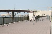 0115 Sharjah &ndash; &copy; Patrick Fritzsche (Eberhardt TRAVEL)
