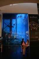 0132 in der Dubai-Mall &ndash; &copy; Patrick Fritzsche (Eberhardt TRAVEL)