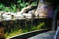 0141 im Unterwasser-Zoo in der Dubai-Mall &ndash; &copy; Patrick Fritzsche (Eberhardt TRAVEL)