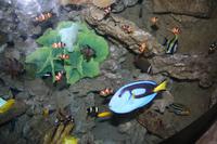 0152 im Unterwasser-Zoo in der Dubai-Mall &ndash; &copy; Patrick Fritzsche (Eberhardt TRAVEL)