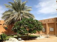 0281 im Palastmuseum in Al Ain &ndash; &copy; Patrick Fritzsche (Eberhardt TRAVEL)