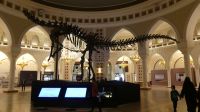Dubai Mall &ndash; &copy; Frank Nimschowski (Eberhardt TRAVEL)
