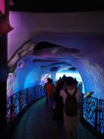 Unter dem Ozean_illuminative Ausstellungen  &ndash; &copy; Patrick Erdmann (Eberhardt TRAVEL)