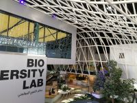 Campus Germany  &ndash; &copy; Patrick Erdmann (Eberhardt TRAVEL)