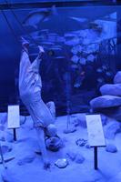 IMG_8912_Dubai Museum &ndash; &copy; Alice Teipelke (Eberhardt TRAVEL)