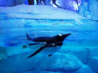 Huhu... &ndash; &copy; Nicole Kunath (Eberhardt TRAVEL)
