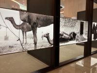 Ethiad Museum, Geschichte Dubais &ndash; &copy; Sabine C. Seifert (Eberhardt TRAVEL)