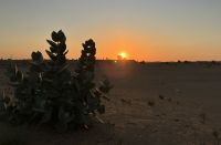Dubai, Wüstensafari -Sonnenuntergang im Wüstencamp &ndash; &copy; Sabine C. Seifert (Eberhardt TRAVEL)