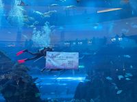 49. Dubai Mall, Aquarium, Dubai &ndash; &copy; Teresa Rumpel (Eberhardt TRAVEL)