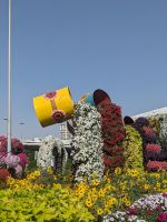 65. Miracle Gardens, Dubai &ndash; &copy; Teresa Rumpel (Eberhardt TRAVEL)